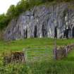 Kilcheran. The quarry face. (Colin Martin)
