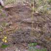 The upper lining of the pot of Kiln A showing its lining of end-laid brickwork. (Colin Martin)