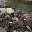 A segment of laid foundation stones among the tumbled remains of the low-water quay. (Colin Martin)