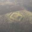 Oblique aerial view of the Lurg Moor Roman fortlet, looking to the S.