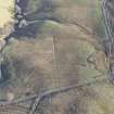 Oblique aerial view of the remains of the farmstead and the ploughed down field boundary and rig, looking ESE.