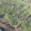 Oblique aerial view of the golf course, the farmstead and the disused race course, looking N.