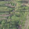 Oblique aerial view centred on part of the disused race course, the farmstead and the golf course, looking SE.
