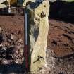 Upstanding gatepost from (011) for watching brief at Barburgh Mill Quarry Extension