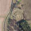 Oblique aerial view of the earthwork, looking ESE.