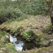 View of feeder stream at west end of lake