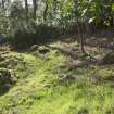 Stone flanked pathway.