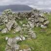 View of hut looking S; Teilesnish, township.