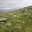 View of blackhouse remains looking W; Teilesnish, township.