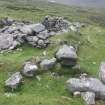 View of hut and blackhouses looking E; Teilesnish, township.