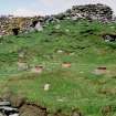 St Ronan's Church and SMRU hut foundations from south, 2006.