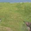 On-line Digital Images