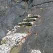 Detail of concrete steps and reinforcement.