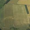 Oblique aerial view of the cropmarks of the fort, looking NNW.