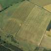 Oblique aerial view of the cropmarks of the fort, looking NW.
