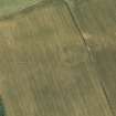 Oblique aerial view of the cropmarks of the fort, looking S.