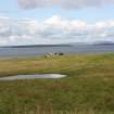 General view of the south farmstead from the SE across Upfra Loch, Swona.