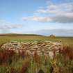 An enclosure at Tarf, Swona, looking N.