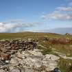 Enclosures at Tarf, Swona, looking NE.