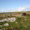 Enclosures at Tarf, Swona, looking NE.