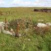 View of a collapsed structure at the western edge of a group of enclosures on the Tarf, looking NE.