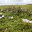 View of a collapsed structure at the western edge of a group of enclosures on the Tarf, looking W.