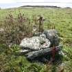 View of a possible cairn at the western edge of a group of enclosures on the Tarf, looking S.