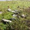 View of a possible cairn at the western edge of a group of enclosures on the Tarf, looking S.