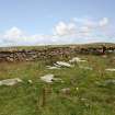 View of enclosures, the Tarf, Swona, looking E.