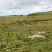 View of enclosures, the Tarf, Swona, looking E.