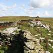 View of enclosures, the Tarf, Swona, looking N.