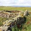 View of collapsed skeo, the Tarf, Swona, looking W.