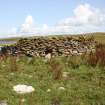 View of enclosures, the Tarf, Swona, looking E.