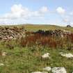 View of skeo, the Tarf, Swona, looking W.