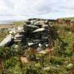 View of enclosures, the Tarf, Swona, looking W.