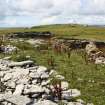 View of enclosures, the Tarf, looking W.