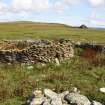 View of enclosures, the Tarf, looking E.