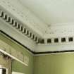 Interior. Detail of cornice.