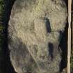 View of cross fragment Balquhidder no 7 (including scale)