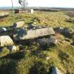 Drumcarrow Craig broch; entrance and lintel.