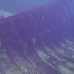 View of hull plating and ribs on steamship Emerald Wings