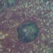 View of porthole on steamship Emerald Wings