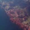 View of rock ballast and hull plating on steamship Numidian