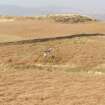 TOR4.3.29 Clearing started on 28-30 before bracken spraying had taken place. 