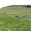 All that can be detected of the enclosure TOR4.3.6 is a slightly raised bank and a change in vegetation.