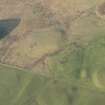 Oblique aerial view of the remains of the plantation bank and rig, looking NNW.