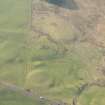 Oblique aerial view of the remains of the plantation bank and rig, looking W.