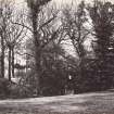 View of St Germains House visible behind trees with lady walking in the garden.