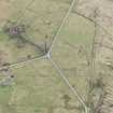 Tiree, Moss
