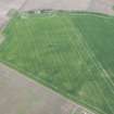 Oblique aerial view of the cropmarks of the linear features, possible quarry and rectilinear enclosure at Troustrie, looking N.